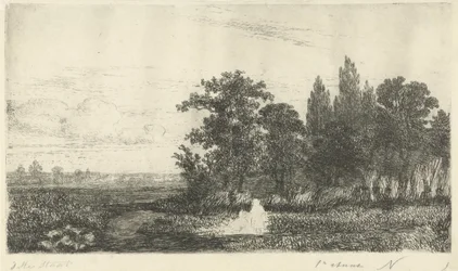 Hombre y mujer junto a un arroyo al borde del bosque.