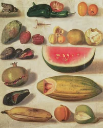 Bodegón con fruta y sapo