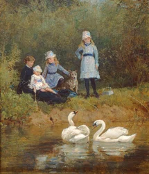 Observando los cisnes