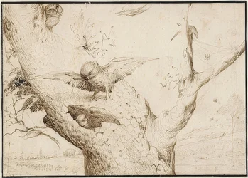 Nido de búhos, c. 1505-10