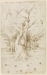 El Bosque Tiene Oídos, El Campo Tiene Ojos por Bosch, Hieronymus (c. 1450-1516). Pluma, tinta india marrón sobre papel, tamaño: 20,2x12,7, c. 1500-1515, Staatliche Museen, Berlín