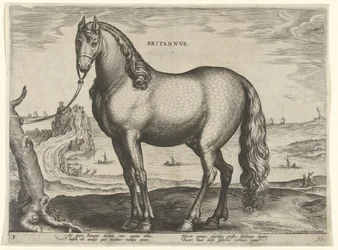 Caballo de Bretaña (Brittanus) Britannvs (título sobre objeto) Razas de caballos de las Caballerizas Reales de Don Juan de Austria (título de la serie) Equile Ioannis Austriaci Caroli (título de la serie)