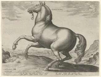 Caballo de Francia (Gallicus) Gallicvs (título sobre objeto) Razas de caballos de las Caballerizas Reales de Don Juan de Austria (título de la serie) Equile Ioannis Austriaci Caroli (título de la serie)