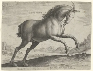 Caballo de la raza Equus Regius (el Real) Eqvvs Regivs (título en objeto) Razas de caballos de las Caballerizas Reales de Don Juan de Austria (título de la serie) Equile Ioannis Austriaci Caroli (título de la serie)