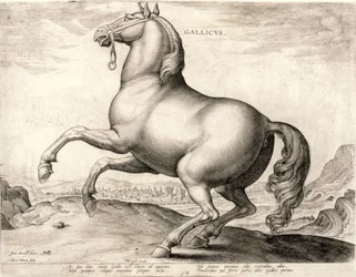Gallicus de la serie Caballos del establo de Don Juan de Austria