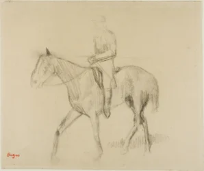 Caballo y jinete