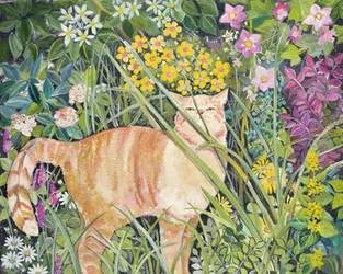 Gato y Hierba Alta, 1996