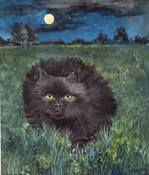 El Gato y la Luna