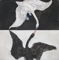 Grupo IX/SUW, nº 1, El Cisne, nº 1