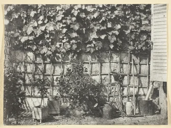 La Treille