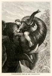 Passepartout no estaba en absoluto asustado, de La vuelta al mundo en ochenta días de Julio Verne (1828-1905), 1873