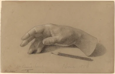 Estudio de una mano
