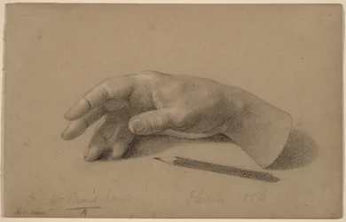 Estudio de una mano