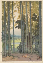 Madera de bambú