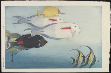 El Acuario de Honolulu