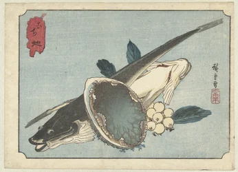 Pescado plano, abulón y bayas Kochi awabi (título sobre objeto)