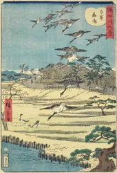 Gansos regresando a Shirahige, noviembre de 1861