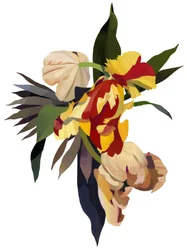 Tulipán loro 3