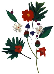Una flor que te hace imaginar la Navidad