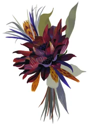 Dalia salvaje