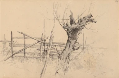 Tronco de árbol seco