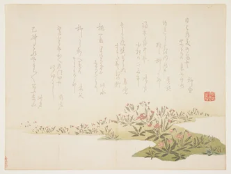Violetas, c.1848-53