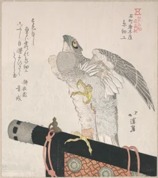 Halcón de seda; especialidades de Karakiya en Kokucho