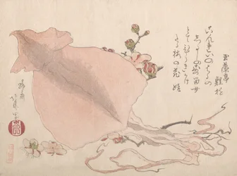 Sepia Seca y Flores de Ciruelo, principios del siglo XIX
