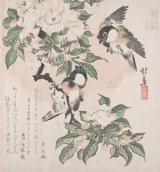 Colección Lluvia de Primavera Harusame shu, vol. 3: Carboneros y Flores de Manzano Silvestre