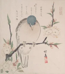 Colección de Lluvia de Primavera Harusame shu, vol. 3: Paloma de montaña y flores de durazno