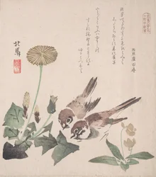 Colección de Lluvia de Primavera Harusame shu, vol. 3: Gorriones y Dientes de León, ca. 1820