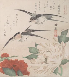 Colección de lluvia de primavera Harusame shu, vol. 3: Golondrinas y peonías, ca. 1820