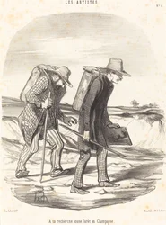 En busca de un bosque en Champagne