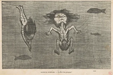 Bañistas Intrépidos