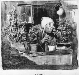 El oído: serie tomada de "Cinco sentidos", por Honoré Daumier (1808-1879). "Charivari"