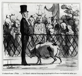 El jardín de plantas en Pekín: los chinos admirando un cuadrúpedo de Francia y un bip de el mismo país. Ilustración de Honoré Daumier (1808-1879), publicada en "Charivari", China Actualidades