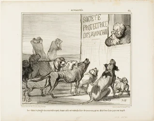 Los perros vuelven a desesperarse tras enterarse de que, después de todo, habrá un nuevo impuesto sobre las licencias caninas, placa 171 de Actualités
