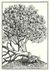 Ilustración del Sermón de la Montaña (grabado)