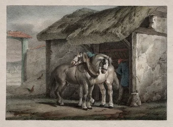 Caballo de Granja