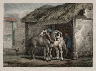 Caballo de granja