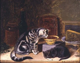 Dos gatos