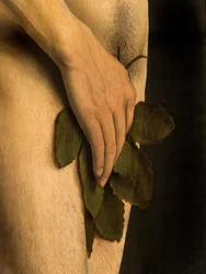 Detalle de Adán, del ala izquierda del Retablo de Gante