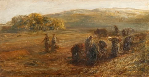 Levantando patatas