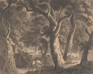 Bosque de Wychwood