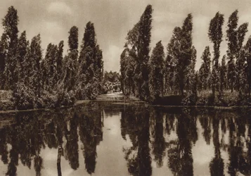 Mexico: Xochimilco con los asi llamados "Jardines flotantes" (b/w photo)