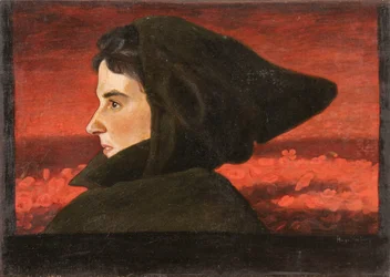 Amapola