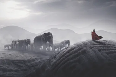 El viaje del elefante de Red Cape
