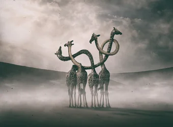 Cuellos de jirafa surrealistas