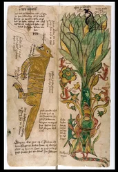 El lobo Fenrir y el árbol del mundo Yggdrasil, 1680