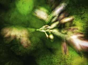 Texturas abstractas en verde